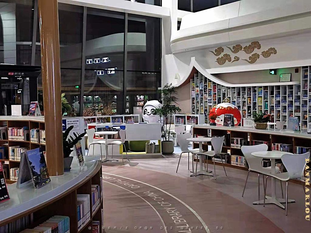 2023 02 06 PEKIN - DAKIN AEROPORT LA BIBLIOTHEQUE (4).jpg